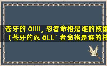 苍牙的 🌸 忍者命格是谁的技能（苍牙的忍 🐴 者命格是谁的技能啊）